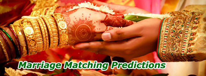 Famous astrologer in goa - best astrology service in goa